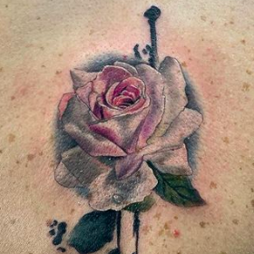 Tattoos - White Rose - 142451